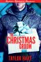 [Bachelor Billionaire Romances 01] • The Christmas Groom